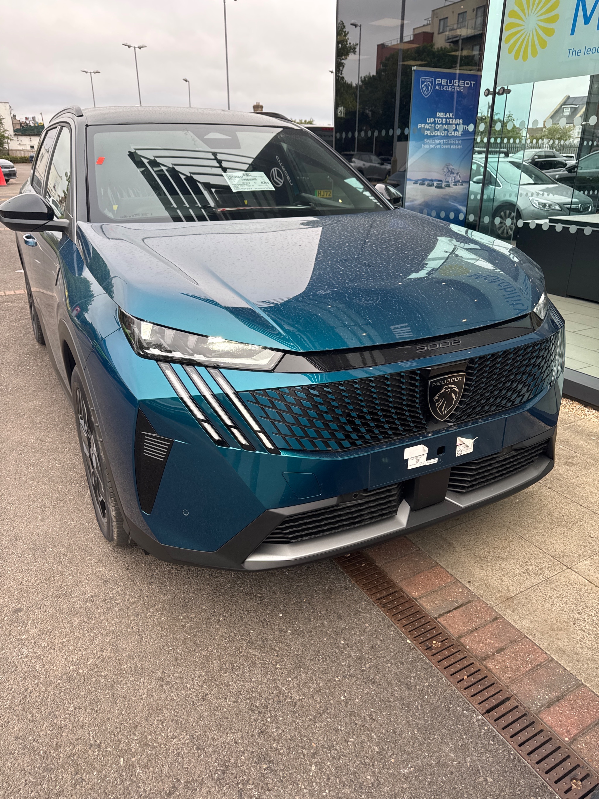 4-way boot hoist fitted to a Peugeot 5008 in Ferndown