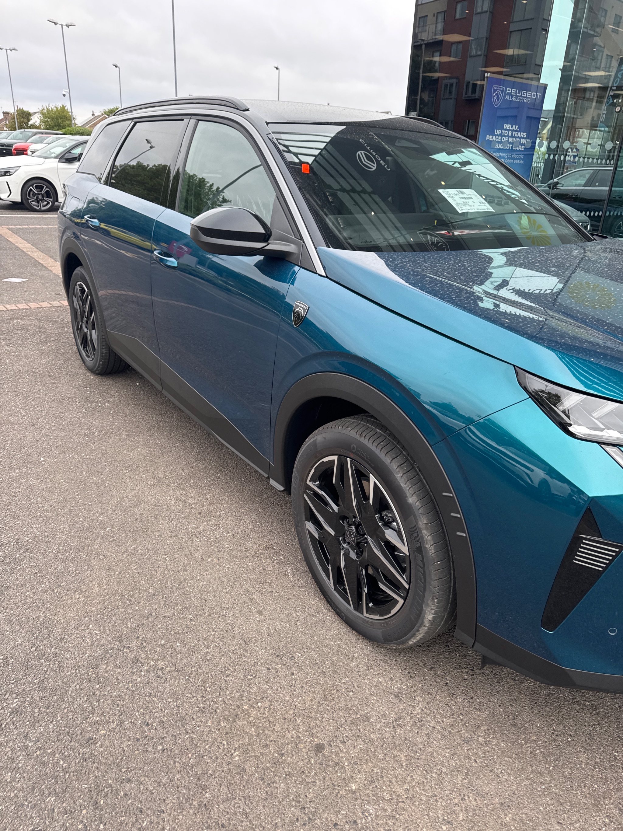 4-way boot hoist fitted to a Peugeot 5008 in Ferndown