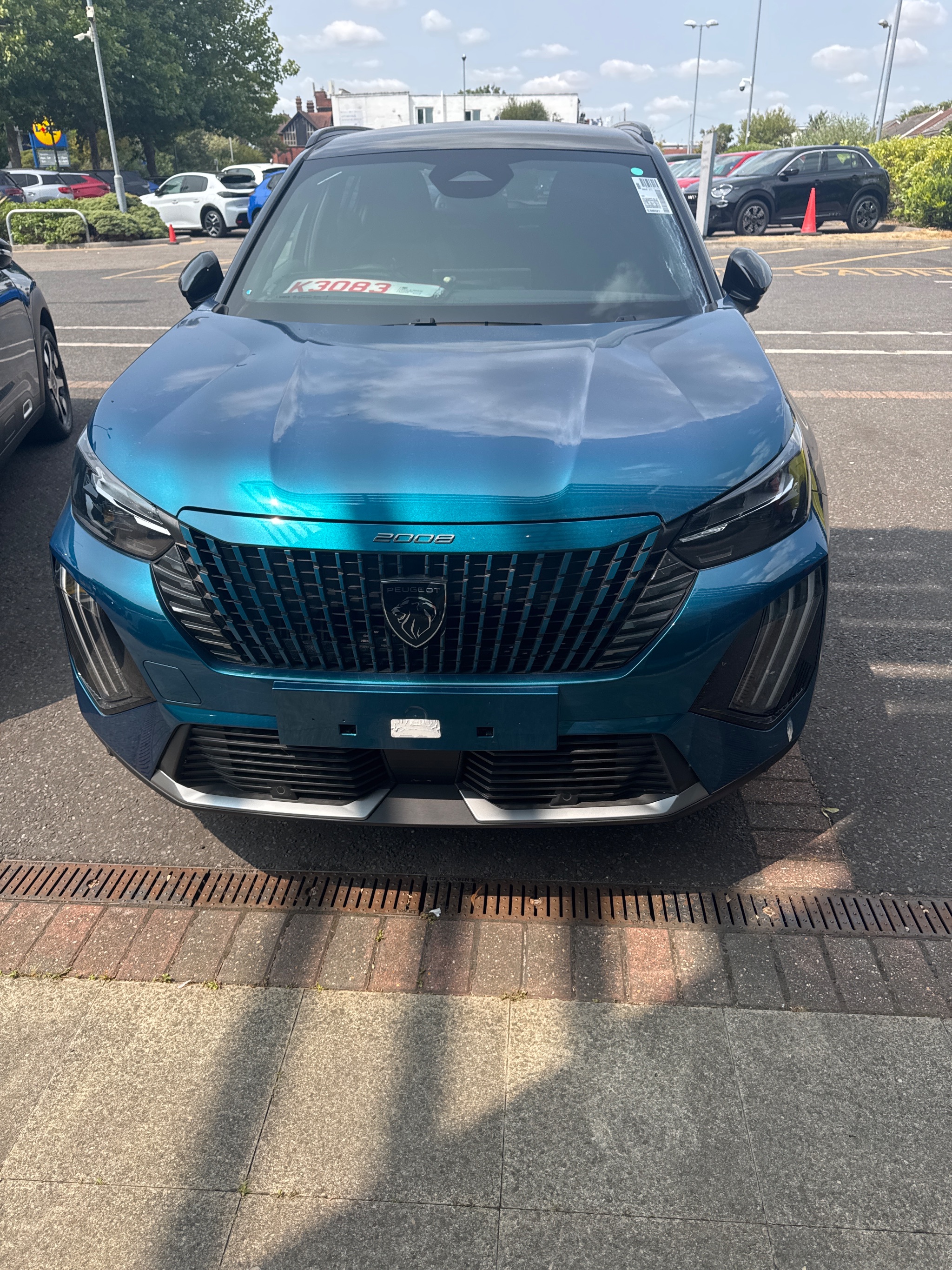 Person hoist fitted to a Peugeot 2008 in Ferndown